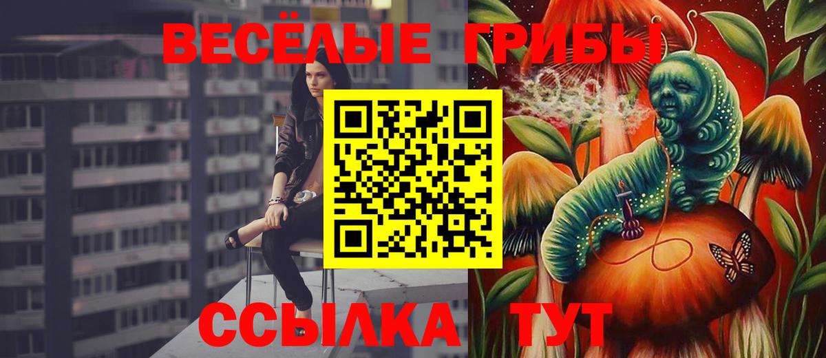 Казань  Галлюциногенные грибы Psilocybe  Вход с VPN 