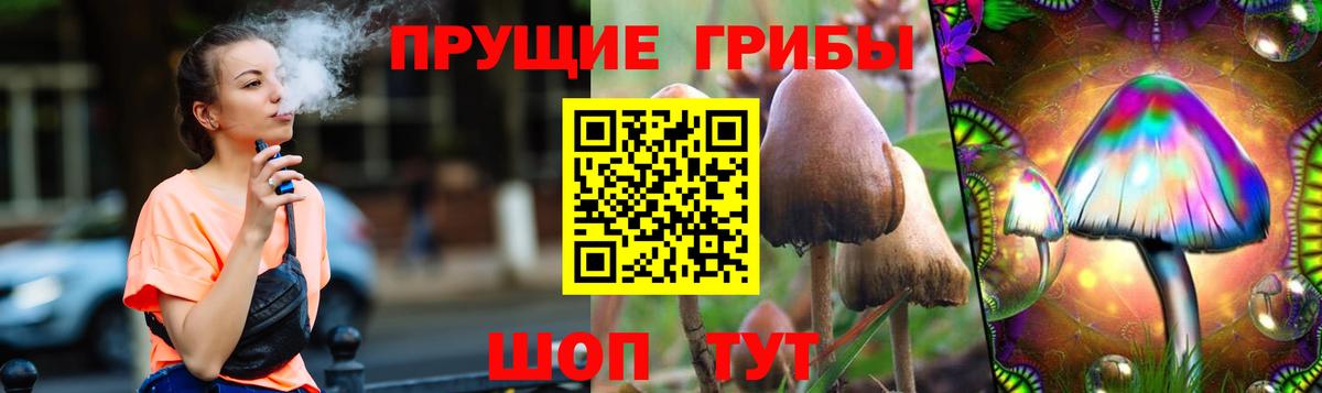 Псилоцибиновые грибы мицелий Казань